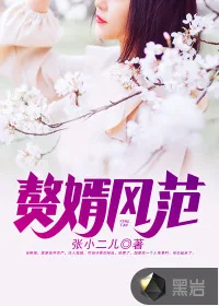 《赘婿风范》封面