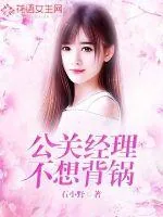 《公关经理不想背锅》封面