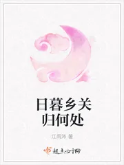 《日暮乡关归何处》封面