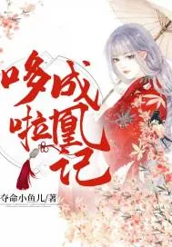 《哆啦成凰记》封面