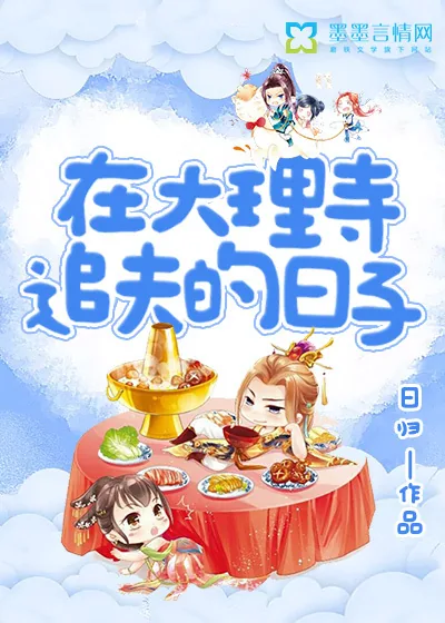 《在大理寺追夫的日子》封面