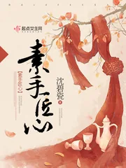 《素手匠心》封面