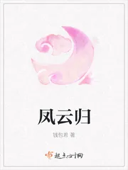 《凤云归》封面