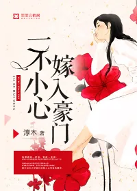 《一不小心嫁入豪门》封面
