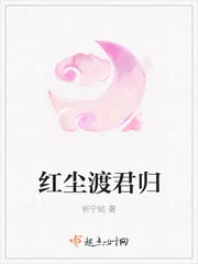 《红尘渡君归》封面