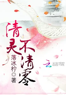 《清灵不清零》封面