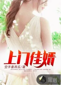 《上门佳婿》封面