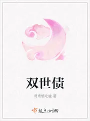 《双世债》封面