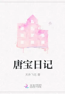 《唐宝日记》封面