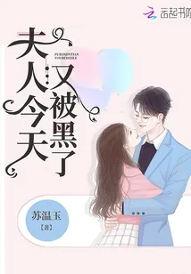 《夫人今天又被黑了》封面