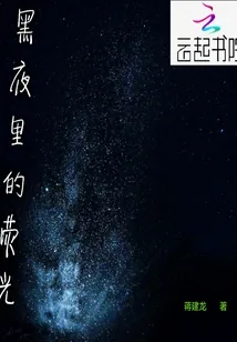 《黑夜里的荧光》封面