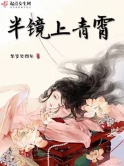 《半镜上青霄》封面