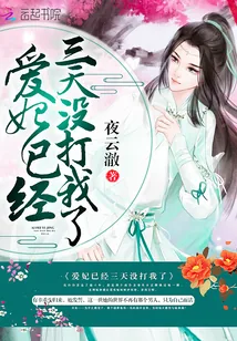 《爱妃已经三天没打我了》封面