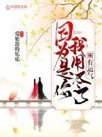 《因为是你我用尽了所有运气》封面