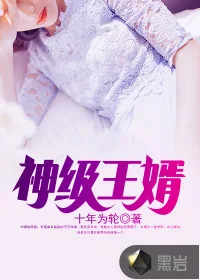 《神级王婿》封面