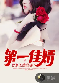 《第一佳婿》封面