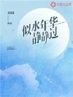 《似水年华静静过》封面