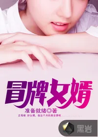 《冒牌女婿》封面