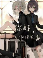 《你好，神探先生》封面
