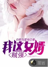 《我这女婿贼强》封面