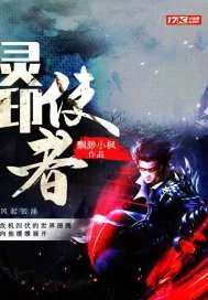 《灵印使者》小说封面