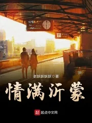 《情满沂蒙》小说封面