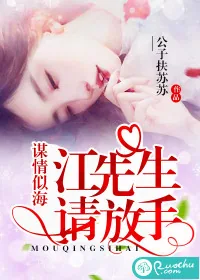 《谋情似海:江先生请放手》小说封面