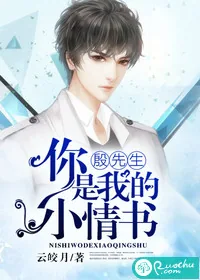 《殷先生,你是我的小情书》小说封面