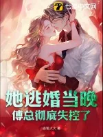 《她逃婚当晚,傅总彻底失控了》小说封面