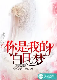 《你是我的白日梦》小说封面