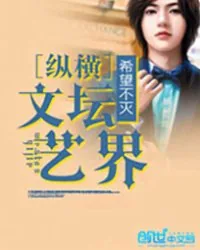 《纵横文坛艺界》小说封面