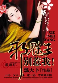 《邪魅王,别惹我!》小说封面