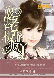 《腹黑老板的疯丫头》小说封面