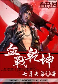 《血战乾坤》小说封面