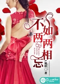 《不如两两相忘》小说封面