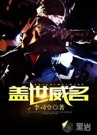 《盖世威名》小说封面