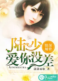《情深刻骨：陆少爱你没差》小说封面
