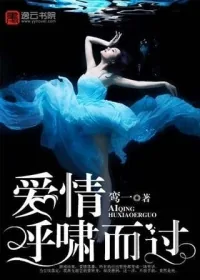 《爱情呼啸而过》小说封面