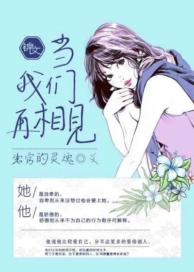 《当我们再相见》小说封面