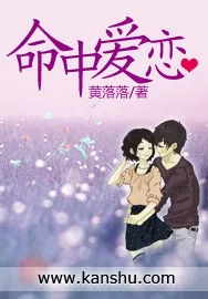 《命中爱恋》小说封面