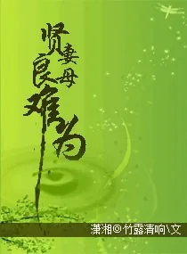 《贤妻良母难为》小说封面