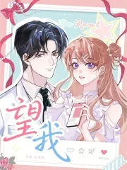 《望我》小说封面