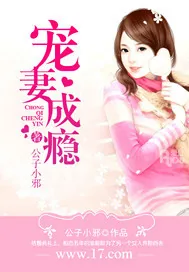 《宠妻成瘾》小说封面
