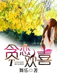 《贪恋欢喜》小说封面