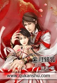 《紫月银狐》小说封面