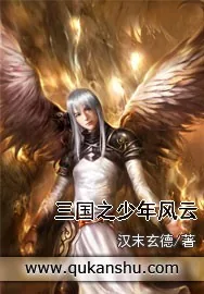 《三国之少年风云》小说封面