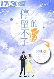 《停留不了的爱》小说封面