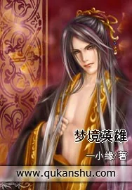 《梦境英雄》小说封面