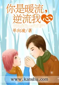 《你是暖流，逆流我心》小说封面