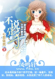 《不说分手》小说封面